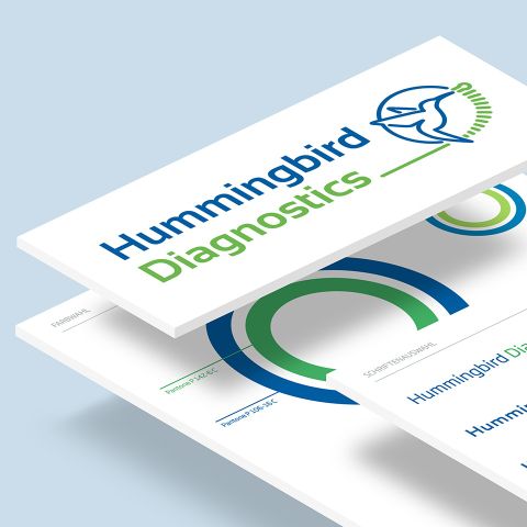 Markenbild und Webseite für Hummingbird Diagnostics, dem miRNA-Biomarker-Experten